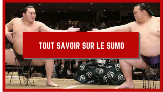 TOUT SAVOIR SUR LE SUMO