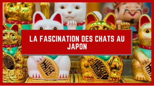 LA FASCINATION DES CHATS AU JAPON