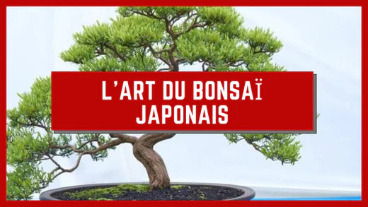 L’ART DU BONSAÏ JAPONAIS