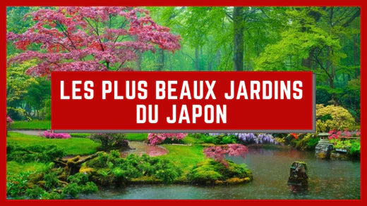 jardin japonais