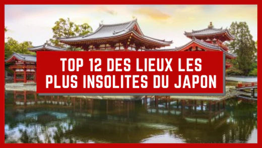 TOP 12 DES LIEUX LES PLUS INSOLITES DU JAPON