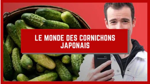 LE MONDE DES CORNICHONS JAPONAIS