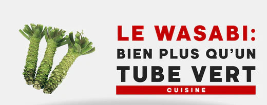 WASABI : BIEN PLUS QU’UN PETIT TUBE VERT