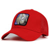 Casquette Manga </br> C18